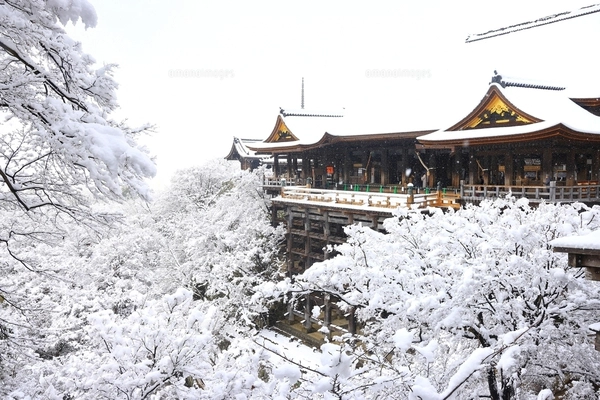 清水寺　雪景色　額入り 清水寺雪景色 京都府の写真素材 [FYI07443746] | ストックフォト
