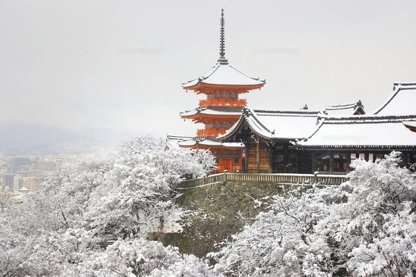 清水寺雪景色 京都府の写真素材 [FYI07443744] | ストックフォト