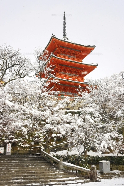 清水寺　雪景色　額入り 清水寺雪景色 京都府の写真素材 [FYI07443744] | ストックフォト