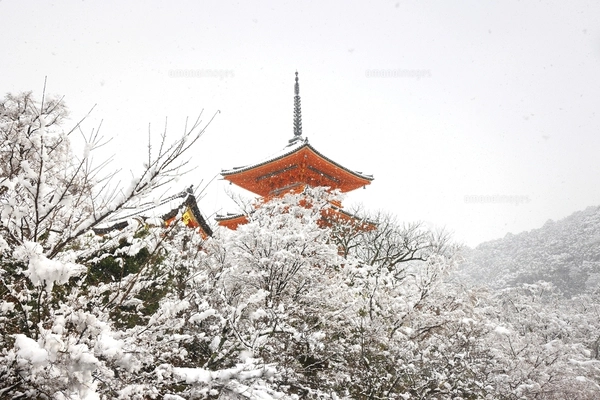 清水寺雪景色 京都府の写真素材 [FYI07443744] | ストックフォト