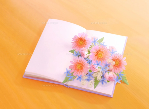洋書◆花のデコレーション写真集 本 植物 インテリア 装飾 洋書◇花のデコレーション写真集 本 植物 インテリア 装飾 洋書