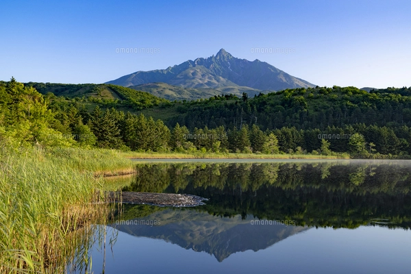 油絵 青嵐の利尻岳（オタトマリ沼)Ｆ3 夏のオタトマリ沼に映る逆さ利尻富士の写真素材 [FYI07564248