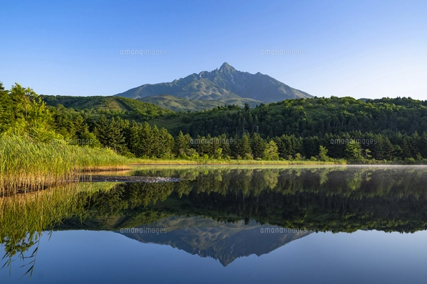 油絵 青嵐の利尻岳（オタトマリ沼)Ｆ3 backend=imagemagick;version=1;