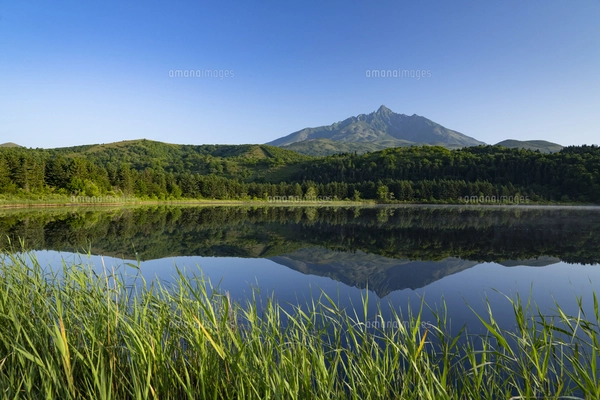 夏のオタトマリ沼に映る逆さ利尻富士の写真素材 [FYI07564274