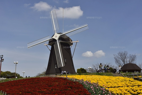 大阪/花博記念公園鶴見緑地・風車の丘大花壇の写真素材 [FYI07570043