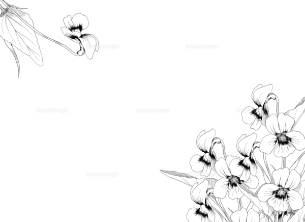 円形の水墨画 花 黒フレーム 手書きの花と葉っぱの円形フレーム 線画 植物リースのフレームの