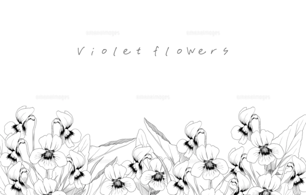 スミレの花の白黒線画イラストの円形リースのイラスト素材