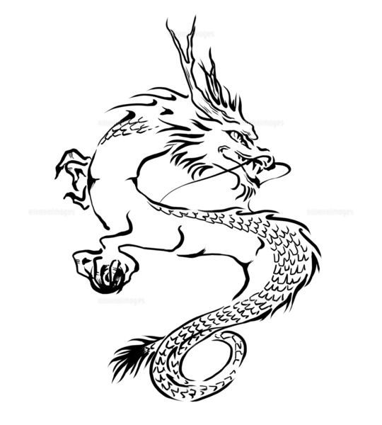 手描き 日本画 龍 モノクロ 金色 年賀2024 辰年 辰 龍 竜 墨の輪 墨絵 水墨画 正月 年賀 和柄