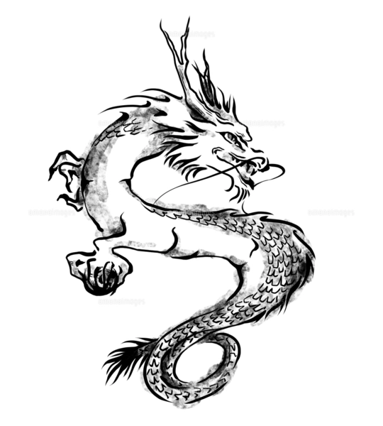 龍のモノトーン手描き線画イラスト 金色背景付きのイラスト素材