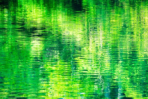 新緑の希望湖と水面の写真素材 [FYI07761688] | ストックフォトの