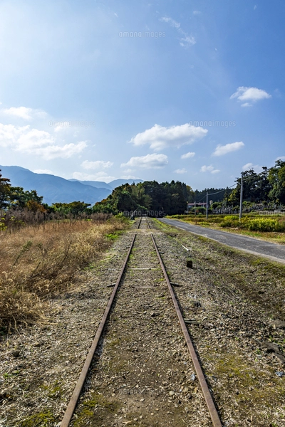 旧国鉄倉吉線 廃線レールの西側終端地点の写真素材 [FYI07782486