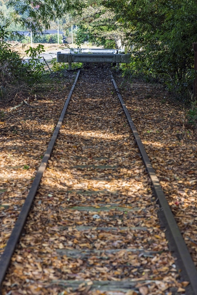 旧国鉄倉吉線 廃線レールの西側終端地点の写真素材 [FYI07782486