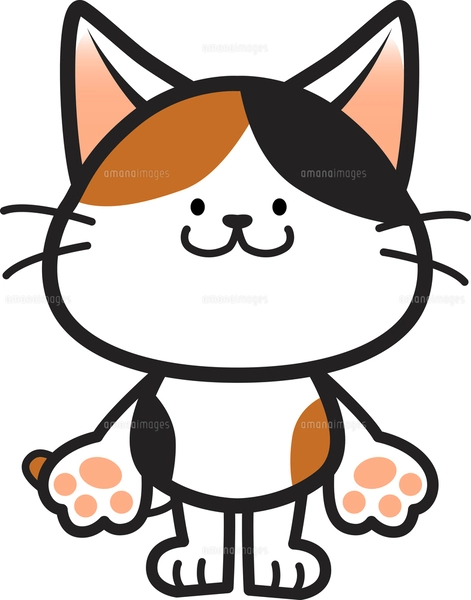 猫のキャラクター手描きイラスト 猫のキャラクターの手書きイラストセット イラスト素材