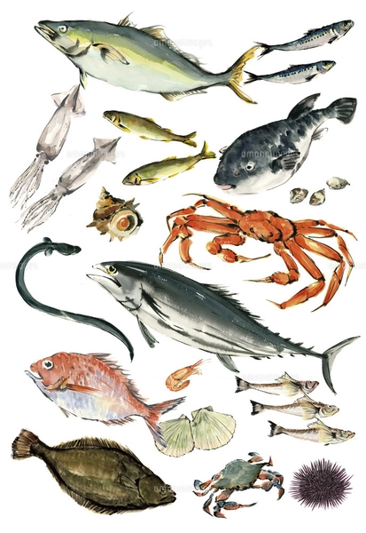 水墨画 魚と海産物 手描き - 絵画