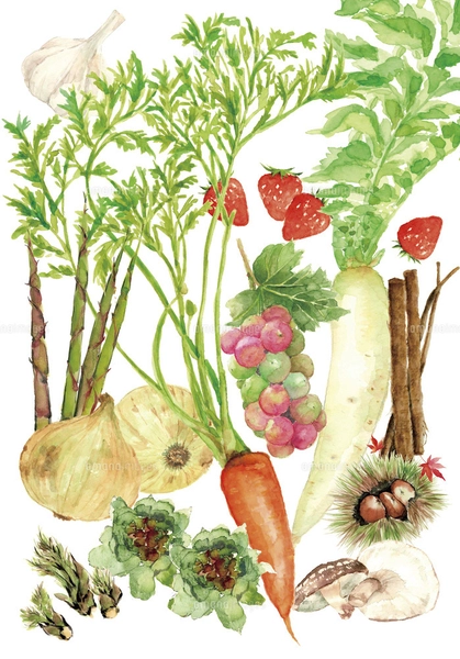 水彩で描いた色々な野菜のイラスト 背景色ありのイラスト素材