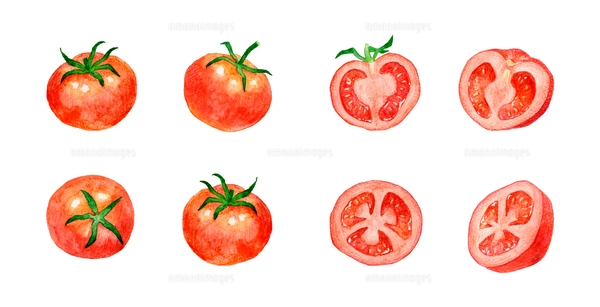 赤いトマトのシームレスパターン 手描き水彩イラストの野菜柄の
