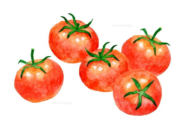 赤いトマトのシームレスパターン 手描き水彩イラストの野菜柄の