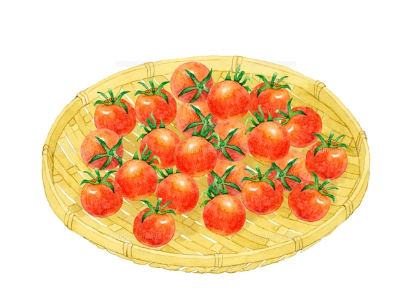 赤いトマトのシームレスパターン 手描き水彩イラストの野菜柄の