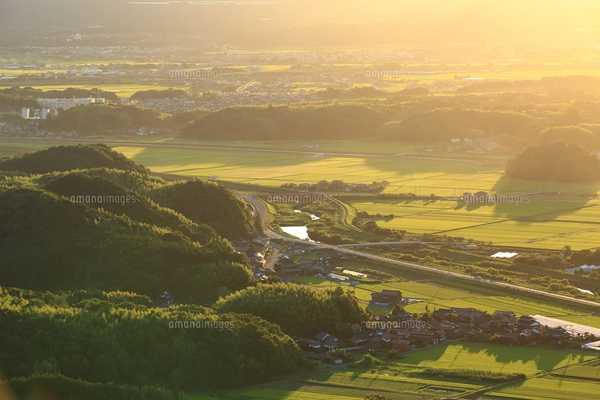 鳥取県の緑鮮やかな夏の田園風景と朝陽の写真素材 [FYI07819813