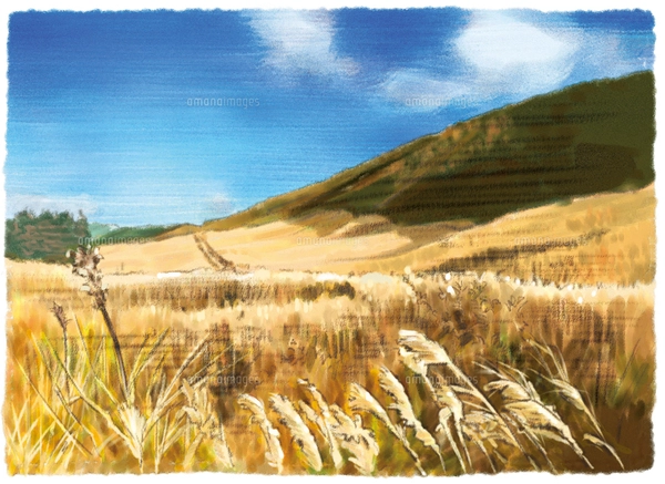特価 水彩画 タウシュベツ橋梁 風景画 【公式通販】