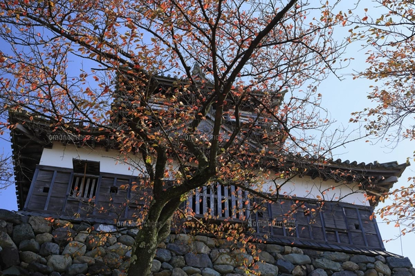 風景画/城の夕焼け「松山城の石垣」愛媛県 油絵SM 木製フレーム付き 風景画/城の夕焼け「松山城の石垣」愛媛県 油絵SM 木製フレーム付き