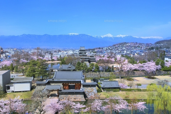 松本城と桜に北アルプス（常念岳）眺望の写真素材 [FYI07880962