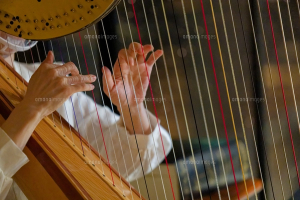 ハープを演奏する人の写真素材 [FYI07882725] | ストックフォト