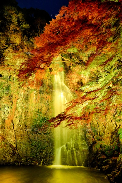紅葉の箕面大滝ライトアップの写真素材 [FYI07903670] | ストック