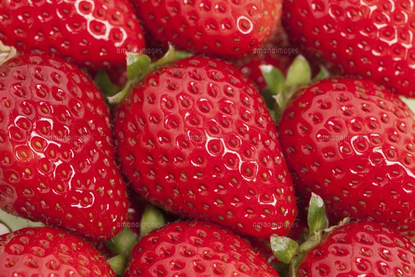 いちご2個の写真素材 [FYI04782458] | ストックフォトの Qlean Market