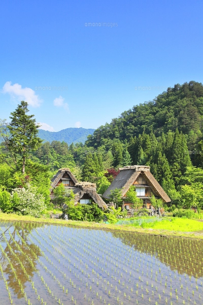 全基本セット２０１９　風景の変容　世界のるつぼ　全２８０枚＋トークン１７枚　他 3次元空間内で分析できる新たなプロダクト（ボクセル） | 一般財団