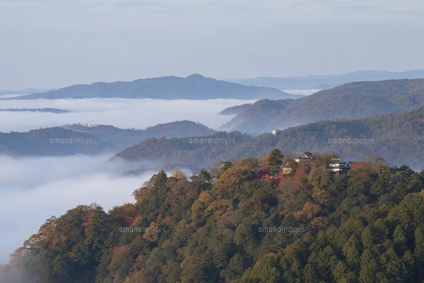 備中松山城の四の平櫓跡の写真素材 [FYI07920679] | ストック