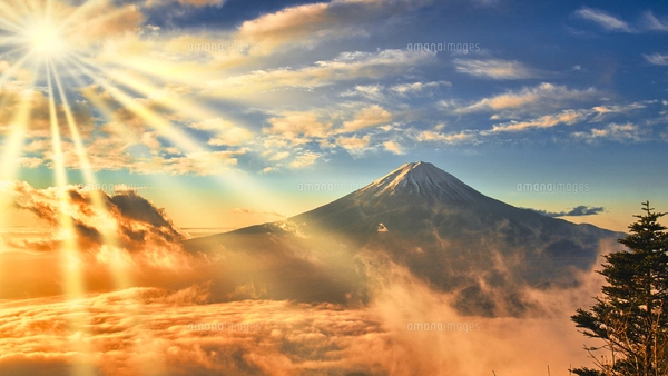 新道峠より朝の雲海と富士山の写真素材 [FYI07929690] | ストック