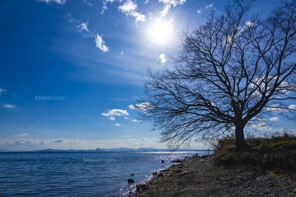 大津市北部の琵琶湖畔の写真素材 [FYI07932112] | ストック