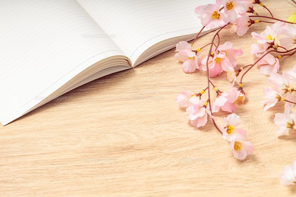 新生活イメージ｜入学、卒業（桜吹雪なし）の写真素材 [FYI07934837] | ストックフォトの Qlean Market（キュリンマーケット）
