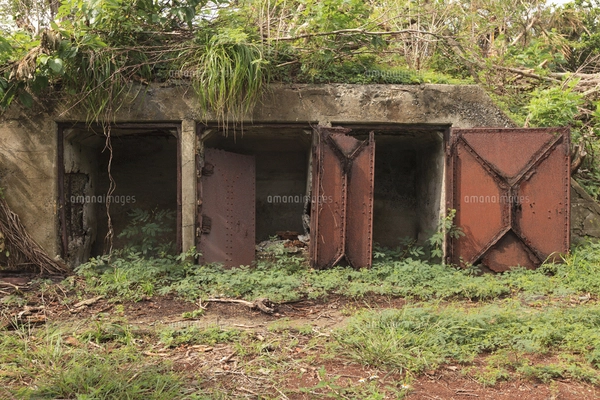 【非売品】写真集「世界遺産 アユタヤ遺跡群 ＆ スコータイ遺跡群」 非売品】写真集「世界遺産 アユタヤ遺跡群 ＆ スコータイ遺跡群