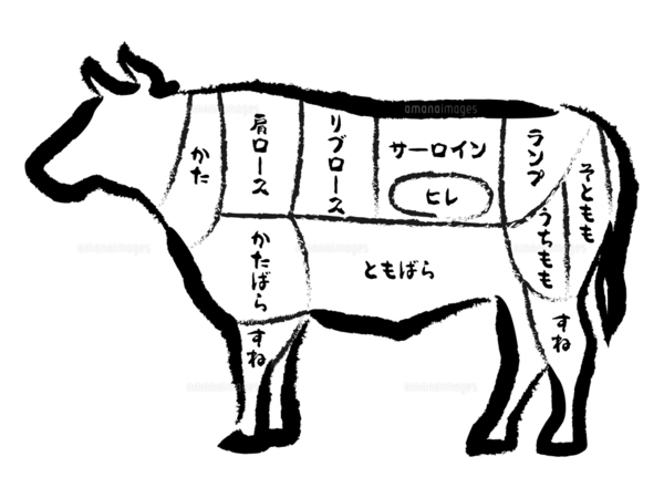 牛の部位のイラストのイラスト素材 [FYI07946612] | ストックフォトの
