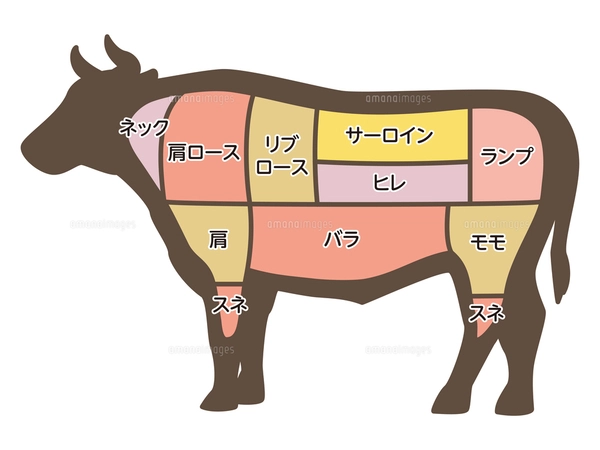 牛の部位のイラストのイラスト素材 [FYI07946615] | ストックフォトの
