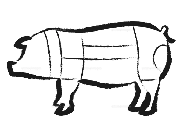 豚の部位のイラストのイラスト素材 [FYI07949427] | ストックフォトの