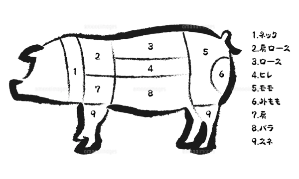 キャンバス画　pig 豚 カット部位 デザイン画 豚の部位のイラストのイラスト素材 [FYI07949426] | ストックフォトの
