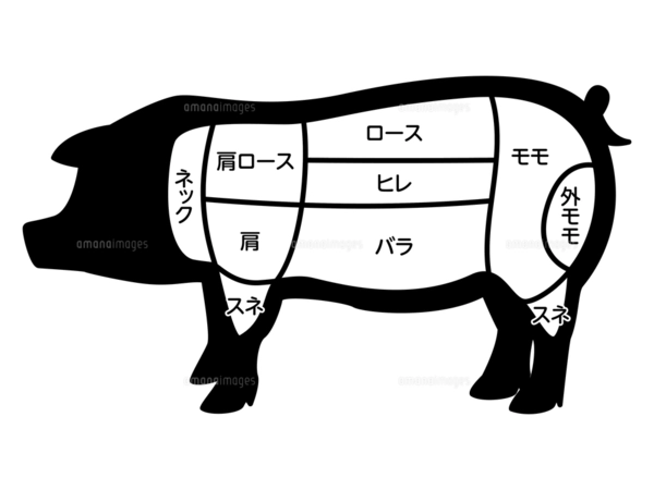 豚の部位のイラストのイラスト素材 [FYI07949427] | ストックフォトの