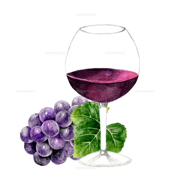 ワインとブドウの水彩画 ワインと葡萄水彩画 イラスト素材 [6447487] - フォトライブラリー