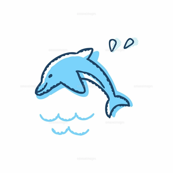 イルカのイラスト素材 [FYI07972120] | ストックフォトの Qlean Market