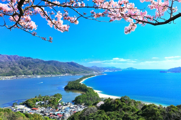 大内峠一字観公園からの天橋立の夜明けの写真素材 [FYI04952594