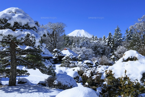 本栖湖からの富士山の写真素材 [FYI04874798] | ストックフォトの