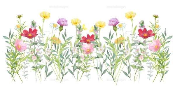 いろいろな花の花畑とチョウチョの水彩画のイラスト素材 [FYI08024181