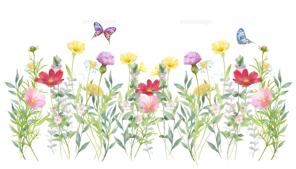 いろいろな花の花畑の水彩画のイラスト素材 [FYI08024182] | ストック