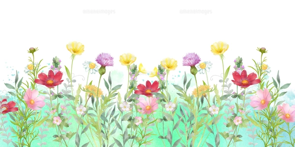 いろいろな花の花畑と蝶々の水彩画のイラスト素材 [FYI08024183