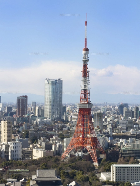 世界貿易センタービルからの眺望の写真素材 [FYI08048415] | ストック