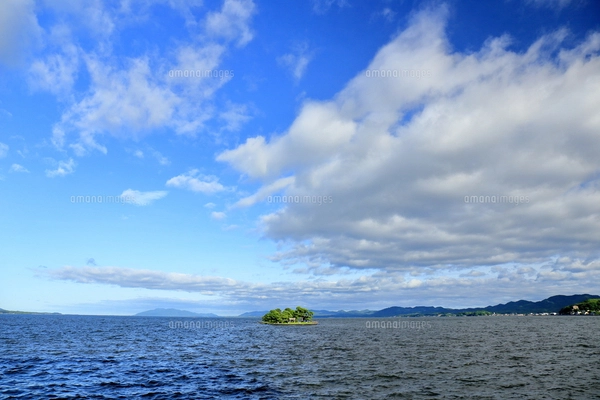 宍道湖」掛軸 美品 日本画 風景画 島根県、宍道湖 宍道湖風景（