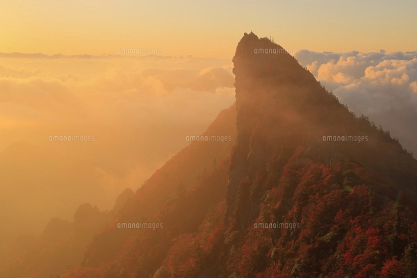 石鎚山・天狗岳の紅葉と朝焼け 愛媛県 西条市の写真素材 [FYI08092690
